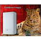 Газовий котел Protherm Гепард 23 MOV