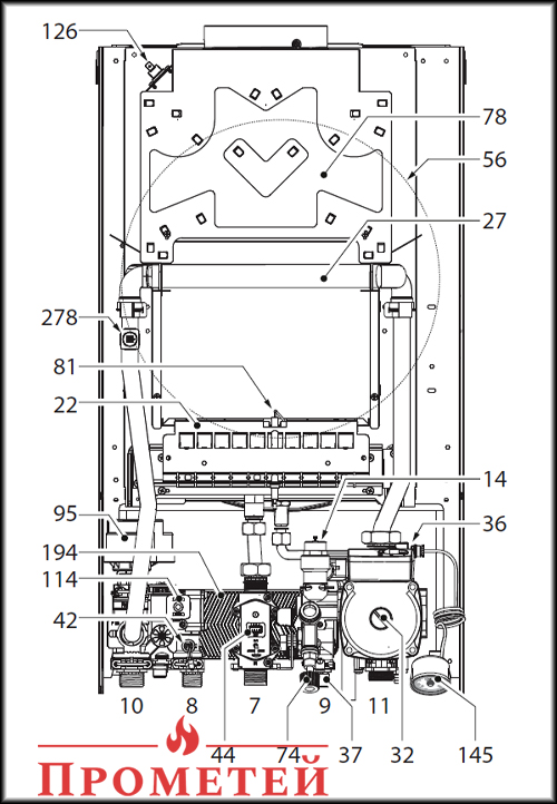 Схема газового котла Ferroli DIVA D C