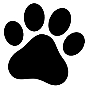 Оплата частинами від Монобанк